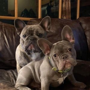 Meet your Posher, Nathalie